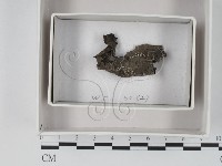 登錄號:F0018084藏品圖，第1張