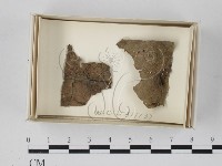 登錄號:F0018087藏品圖，第1張