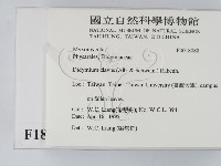 登錄號:F0018088藏品圖，第2張