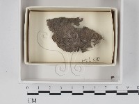 登錄號:F0018090藏品圖，第1張