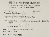 登錄號:F0018091藏品圖，第2張