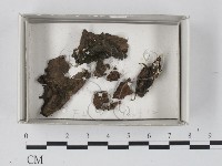 登錄號:F0018092藏品圖，第1張