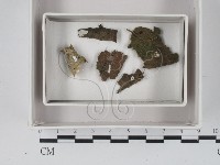 登錄號:F0018096藏品圖，第1張