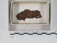 登錄號:F0018098藏品圖，第1張
