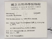 登錄號:F0018099藏品圖，第2張