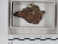 登錄號:F0018101藏品圖，第1張