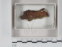 登錄號:F0018102藏品圖，第1張