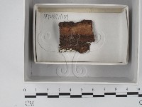 登錄號:F0018103藏品圖，第1張