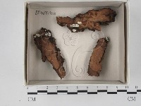 登錄號:F0018104藏品圖，第1張