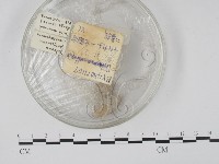 登錄號:F0018105藏品圖，第1張