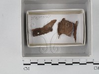 登錄號:F0018107藏品圖，第1張