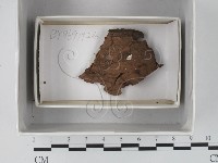 登錄號:F0018110藏品圖，第1張