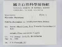 登錄號:F0018113藏品圖，第2張