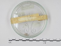 登錄號:F0018119藏品圖，第3張
