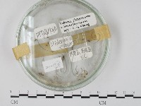 登錄號:F0018120藏品圖，第1張