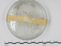 登錄號:F0018120藏品圖，第3張