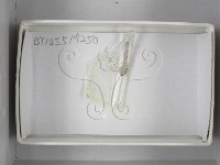 登錄號:F0018123藏品圖，第1張