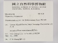 登錄號:F0018124藏品圖，第2張