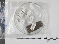 登錄號:F0018127藏品圖，第1張