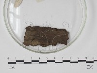 登錄號:F0018127藏品圖，第3張