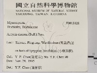 登錄號:F0018128藏品圖，第2張