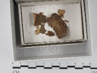 登錄號:F0018128藏品圖，第1張