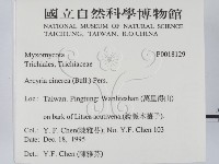 登錄號:F0018129藏品圖，第2張