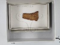 登錄號:F0018129藏品圖，第1張