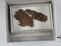 登錄號:F0018130藏品圖，第1張