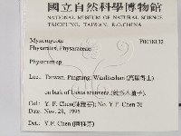 登錄號:F0018132藏品圖，第2張