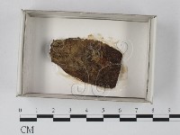 登錄號:F0018134藏品圖，第1張