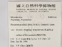 登錄號:F0018135藏品圖，第2張