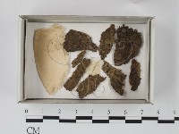 登錄號:F0018135藏品圖，第1張