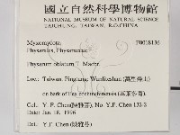 登錄號:F0018136藏品圖，第2張