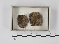 登錄號:F0018136藏品圖，第1張
