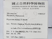 登錄號:F0018137藏品圖，第2張