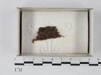 登錄號:F0018138藏品圖，第1張
