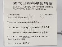 登錄號:F0018141藏品圖，第2張