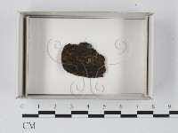登錄號:F0018142藏品圖，第1張