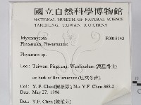 登錄號:F0018143藏品圖，第2張
