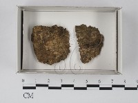 登錄號:F0018143藏品圖，第1張