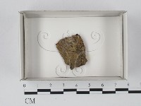 登錄號:F0018144藏品圖，第1張