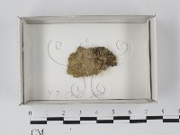 登錄號:F0018146藏品圖，第1張