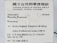 登錄號:F0018147藏品圖，第2張