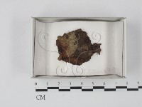 登錄號:F0018148藏品圖，第1張