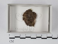 登錄號:F0018149藏品圖，第1張