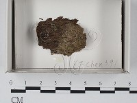 登錄號:F0018150藏品圖，第1張