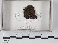登錄號:F0018151藏品圖，第1張