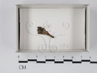 登錄號:F0018152藏品圖，第1張