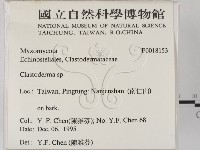 登錄號:F0018153藏品圖，第2張